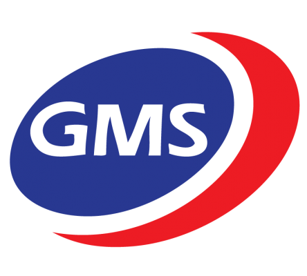 GMS Interneer logo