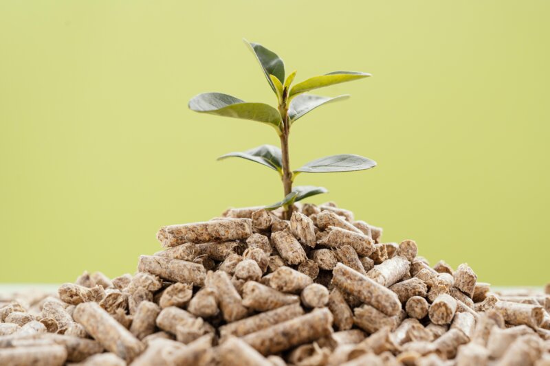 Biomass and Bioenergy: Turning Waste into Wealth